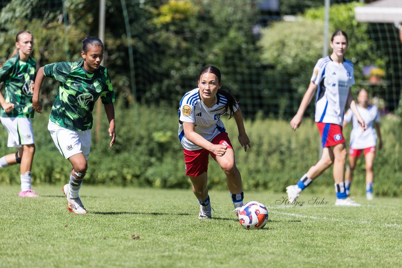 Bild 446 - wBJ Hamburger SV - VfL Wolfsburg : Ergebnis: 5:1